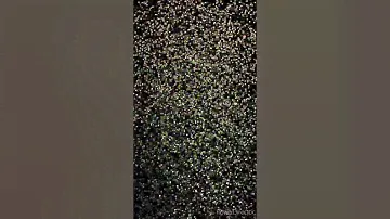 Наш новый Блендер Kitfort KT-1361-4 обзор в работе
